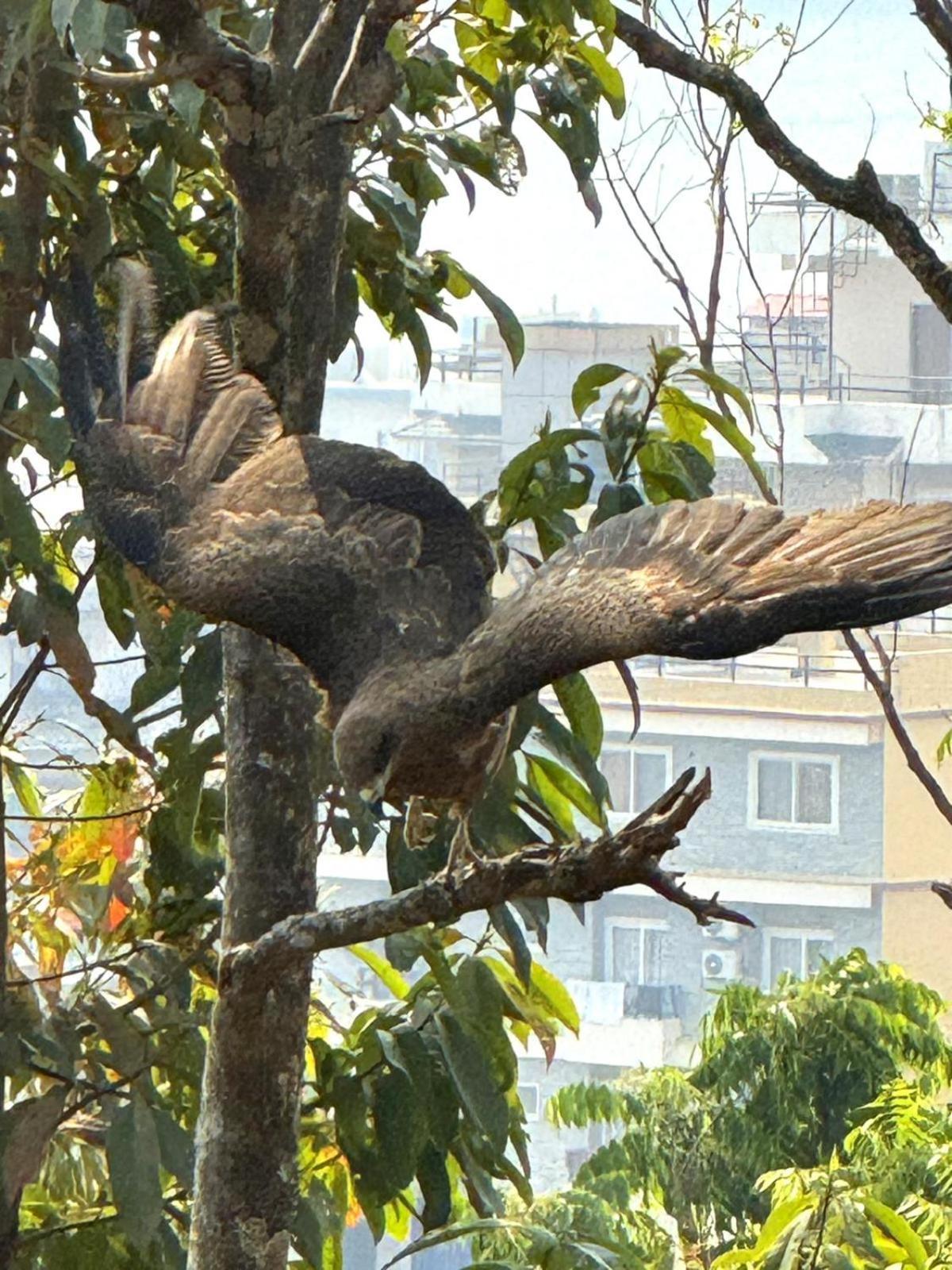 Hotel Tourist Residency Pokhara Buitenkant foto